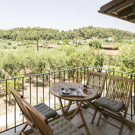 Olive Tree * Φούρκα