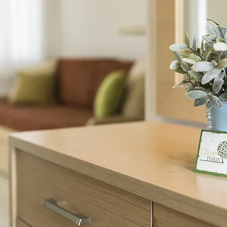 Olive Tree * Φούρκα