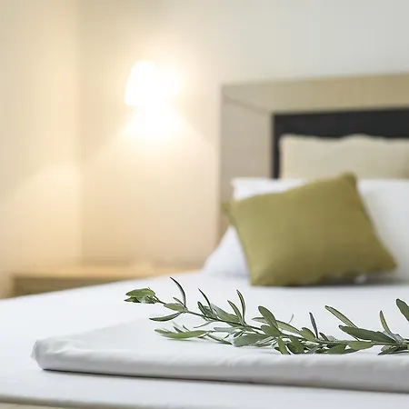 Olive Tree Διαμέρισμα Φούρκα