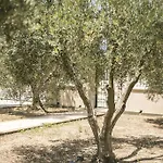 Olive Tree 公寓 *