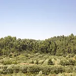 公寓 Olive Tree *