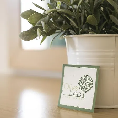 شقة Olive Tree