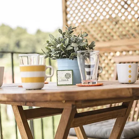 Olive Tree * فوركا