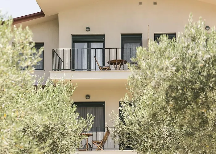 Apartamento Olive Tree *