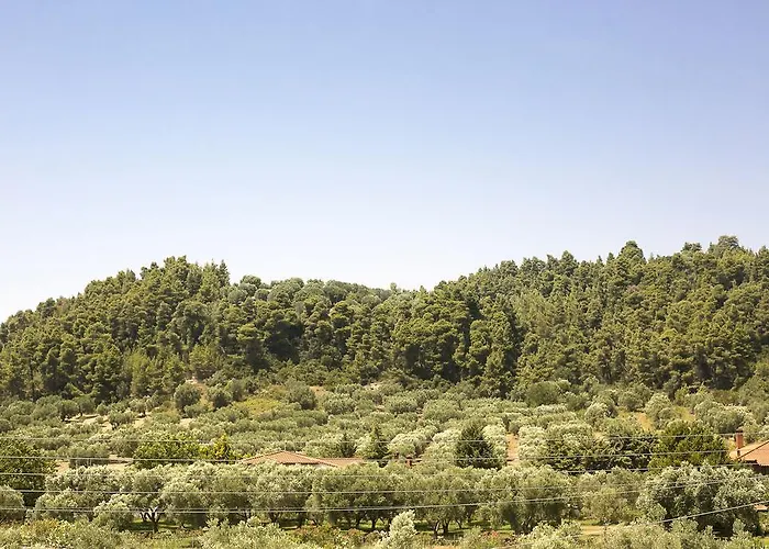 Apartamento Olive Tree *