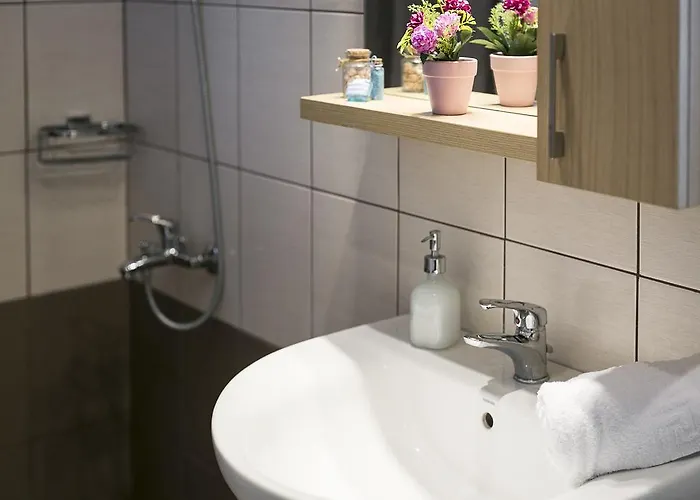 Olive Tree 弗尔卡