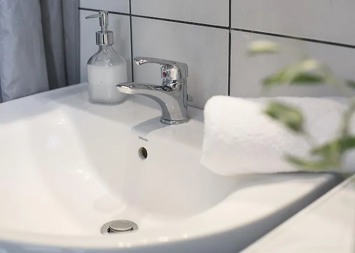 Olive Tree 弗尔卡