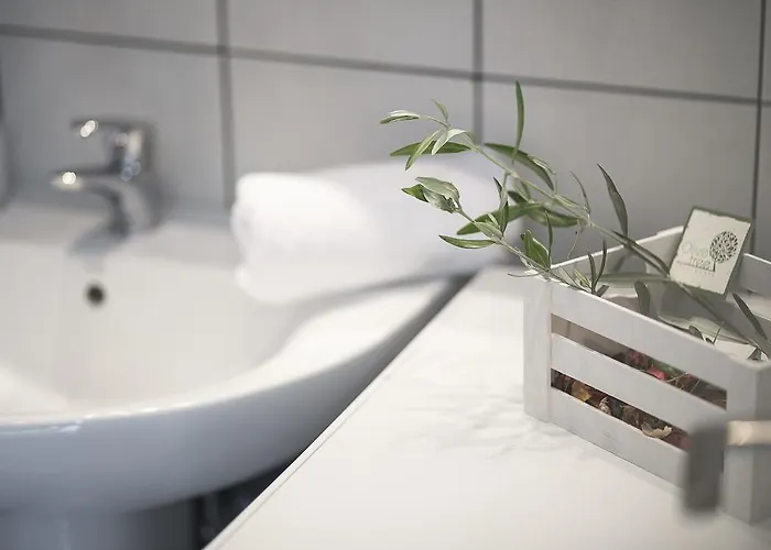 Olive Tree 公寓 弗尔卡